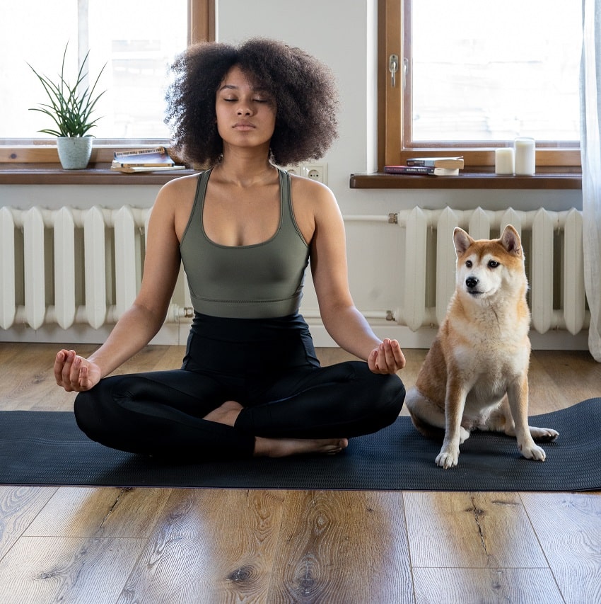 meditation femme chien